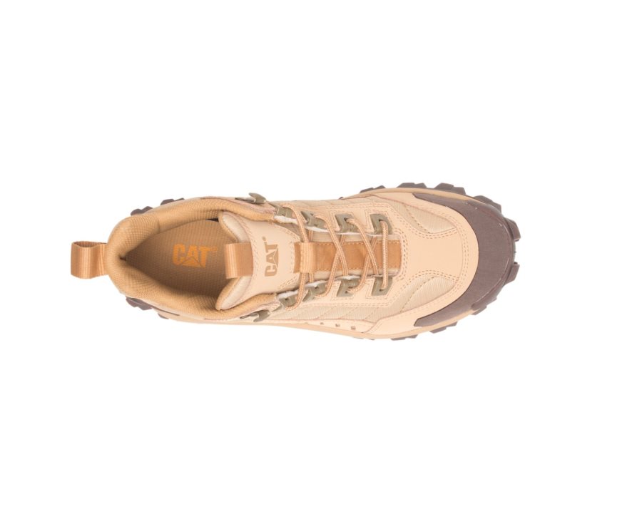 Caterpillar CAT Intruder Mid Women's Sneakers Brown | CAT-421CR