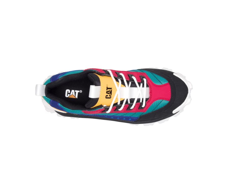 Caterpillar CAT Intruder Shoe Men's Casual Shoes Black / Multicolor | CAT-734LQ