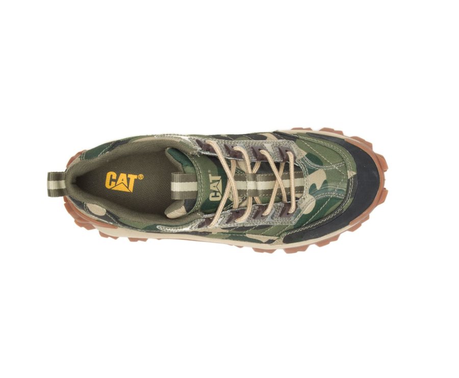 Caterpillar CAT Intruder Shoe Women's Casual Shoes Camo | CAT-203UH