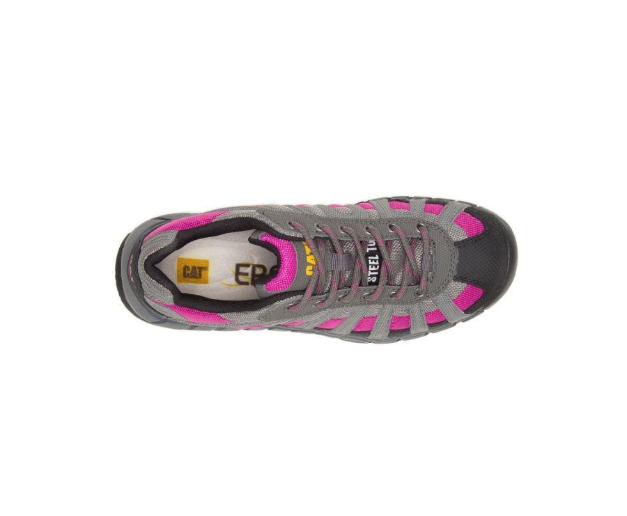 Caterpillar CAT Switch Steel Toe Women's Work Shoes Deep Grey / Pink | CAT-935DT